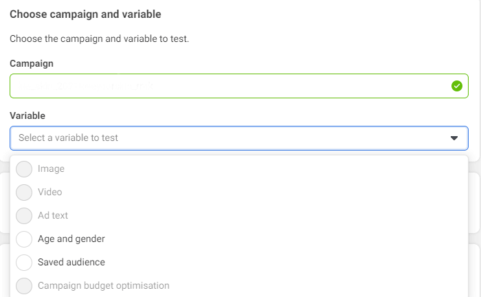Facebook campaign and variable